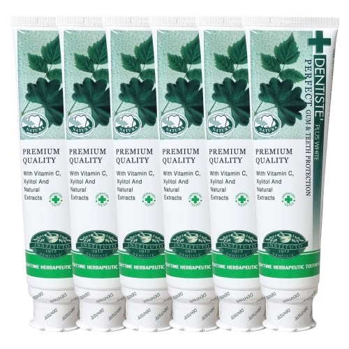 덴티스테 뉴 플러스 화이트 치약 200g (6개)_이미지