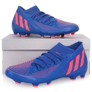 �Ƶ�ٽ� �������� ����3 FG õ���ܵ� �౸ȭ GW2276