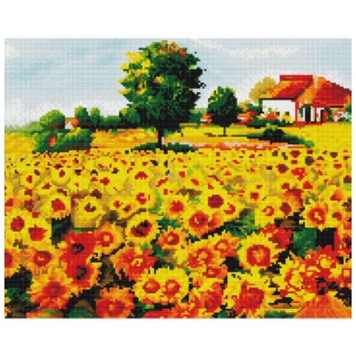 ��Ʈ���� ĵ������ �������ڼ� �����عٶ�� ��