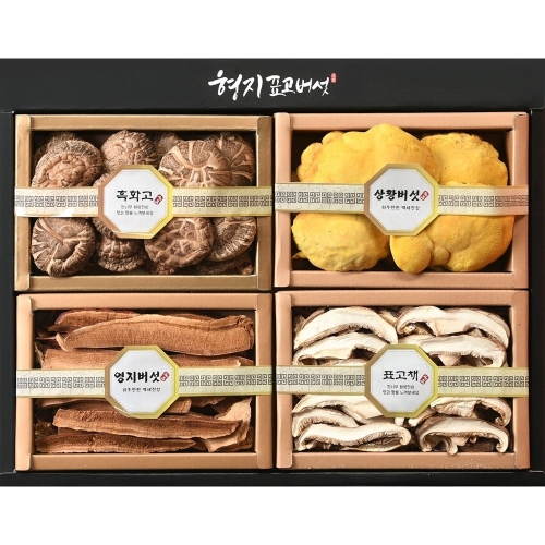 형지표고버섯 표고 영지 상황버섯 4종1호 버섯 선물세트