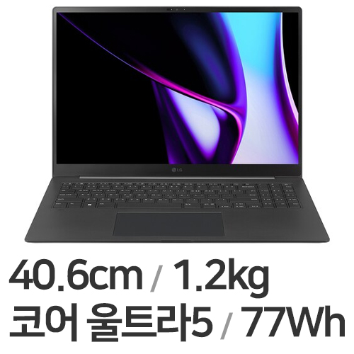 LG전자 2024 그램 프로16 16Z90SP-KAOBK (SSD 512GB)