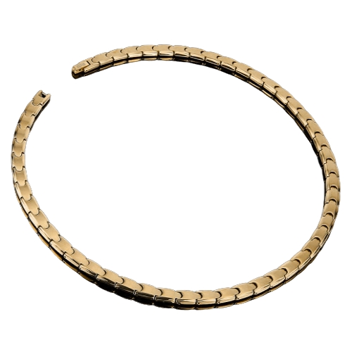 발란스3000 N-알베로G 하이 게르마늄 목걸이