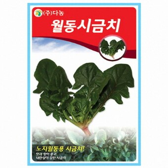 다농 월동 시금치 <b>씨앗</b> 20g