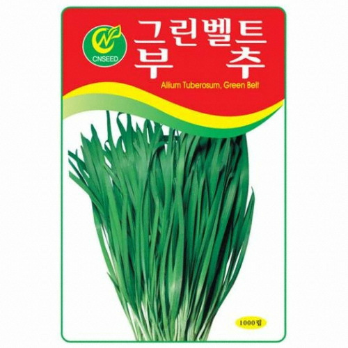 청농  그린벨트 부추[1000립]