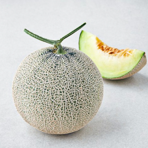 제이드가든 머스크메론 1.2kg (3개)_이미지