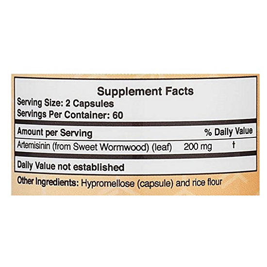 ������� �Ƹ��׹̽ô� 120ĸ�� (�ؿ�)