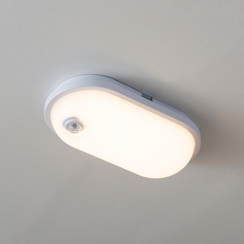 LED 벌크헤드 타원 센서등 20W