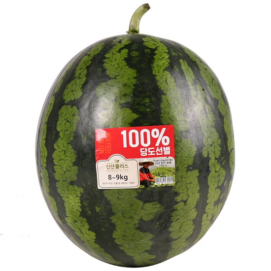 홈플러스 100% 당도선별 수박 8~9kg (1개)_이미지
