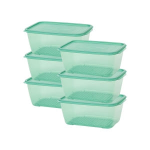 이지앤프리 튼튼이 웨이브킵 냉동실 정리 용기 3000ml 1개입 6개