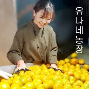  유나네농장 노지감귤 중과 15kg [1개]