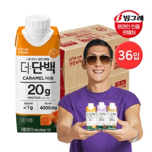 빙그레 더단백 드링크 카라멜 250ml (36개)