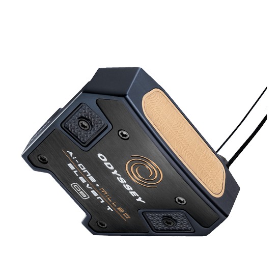 Ķ������ ������ AI-ONE �е� 11T DB ����