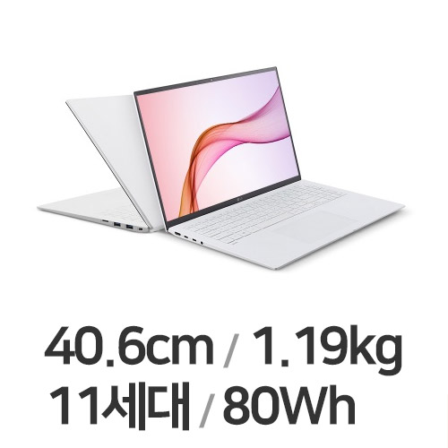 LG전자 2021 그램16 16ZD90P-GX70K (SSD 256GB)