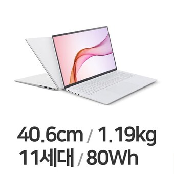 LG전자 2021 그램16 <b>16ZD90P-GX70K</b>