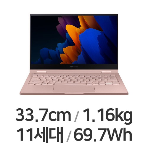 삼성전자 갤럭시북 플렉스2 NT930QDZ-A58AZ (SSD 256GB)