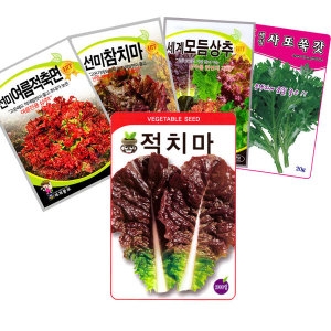 동원종묘 적치마 상추 (2000립)_이미지
