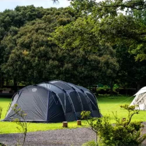 �����ڸ��� Ƽ�ƽ� EX ��Ʈ