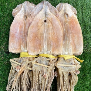 신건호멸치 동해안 햇 마른오징어 10마리 대 750g 건조오징어