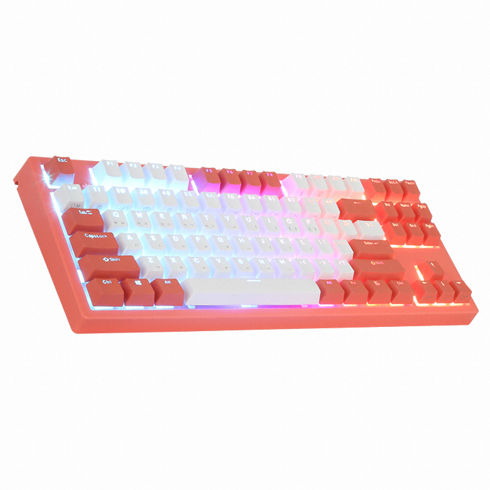 COX 엔데버 리빙코랄 에디션 RGB PBT 완전방수 무접점 (50g)_이미지