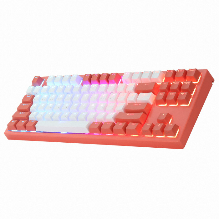 COX 엔데버 리빙코랄 에디션 RGB PBT 완전방수 무접점 (50g)_이미지