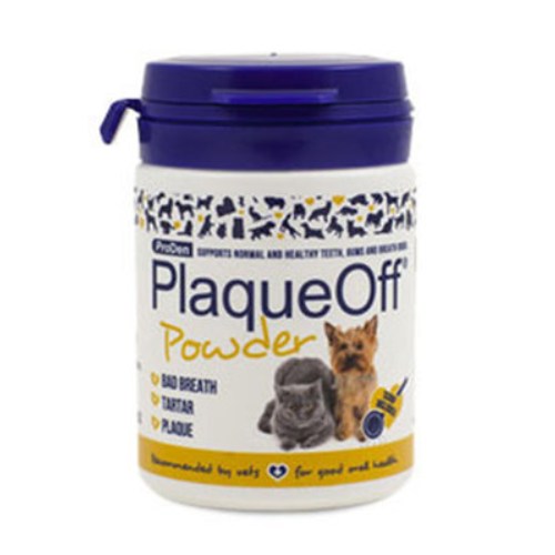 ���ε� �ö�׿��� ��Ż�ɾ� �Ŀ�� 40g