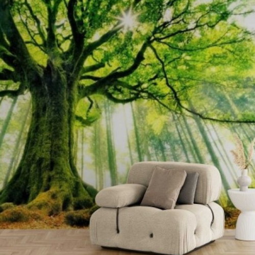 뮤럴 풍경디자인 벽지 너도밤나무