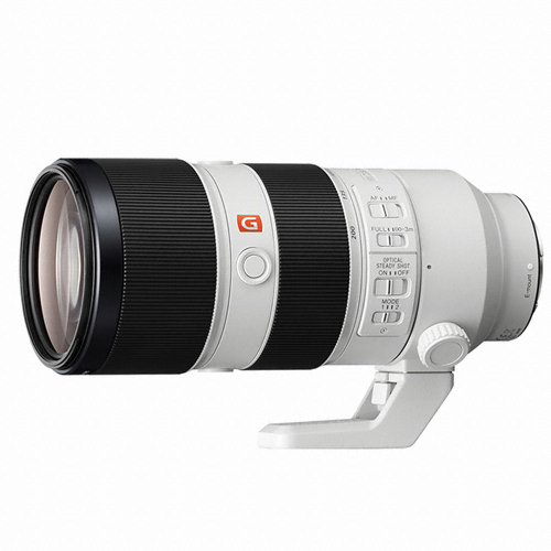 SONY 알파 FE 70-200mm F2.8 GM OSS (정품)