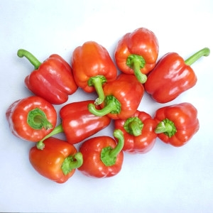 건강채소 국내산 간편손질야채 빨강 파프리카 1입