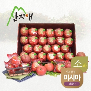 씻어나온 어린이 꿀사과 5kg