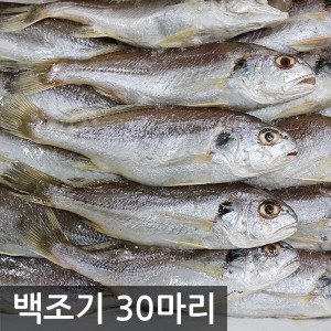 여수고기 국내산 백조기 30마리