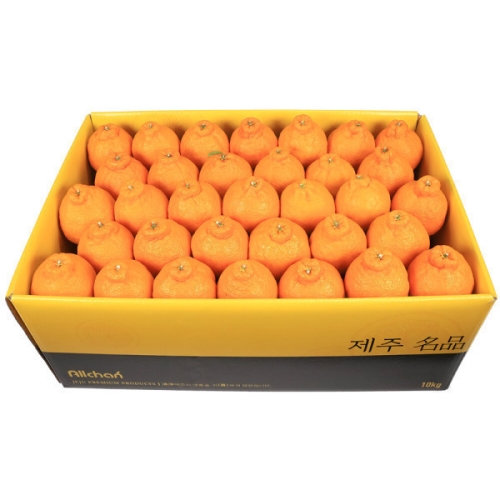 삼다몰 제주 꼬마 한라봉 소과 56~70과 10kg이미지입니다. 누르면 해당 게시물로 새창이동합니다.