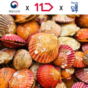 더주 고흥 가리비 1kg [1개]