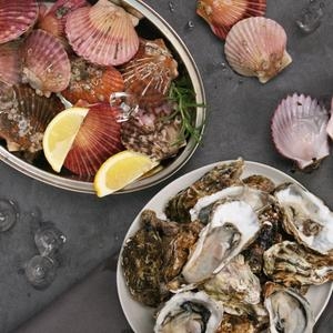 ���عٴ� ������ ��ȭ�� 2kg ���� + ������ 2kg