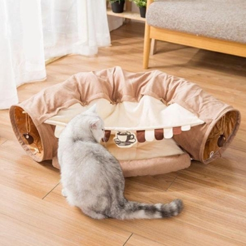 타임 숨숨집 377 고양이 카페 NH WFJOO0E