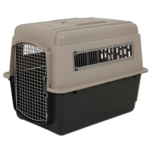 펫메이트 바리켄넬 울트라 패션 550이미지입니다. 누르면 해당 게시물로 새창이동합니다.