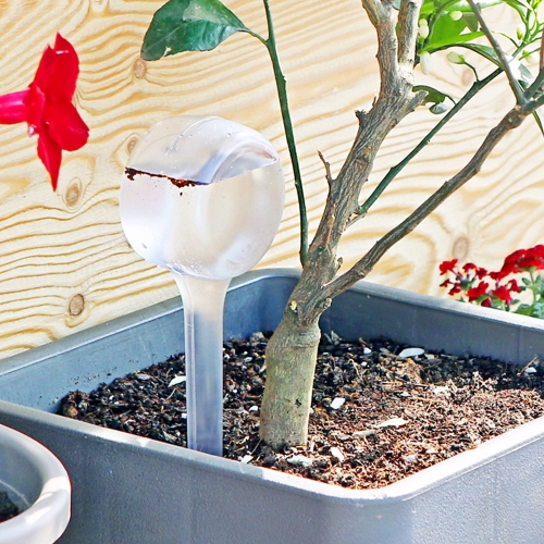 플라팜 화분 워터케어 2P 1세트 장시간 수분공급 화분물주기