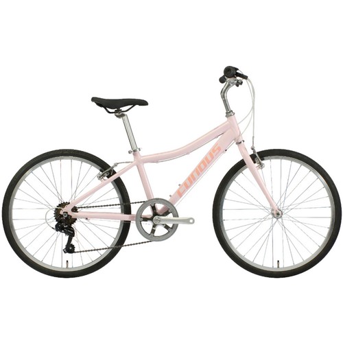 ���潺���� ǻ��� 24Q (2026����)