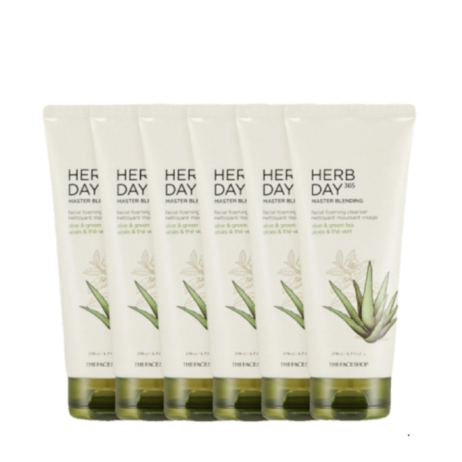 더페이스샵 허브데이 365 마스터 블렌딩 알로에 클렌징폼 170ml (6개)_이미지