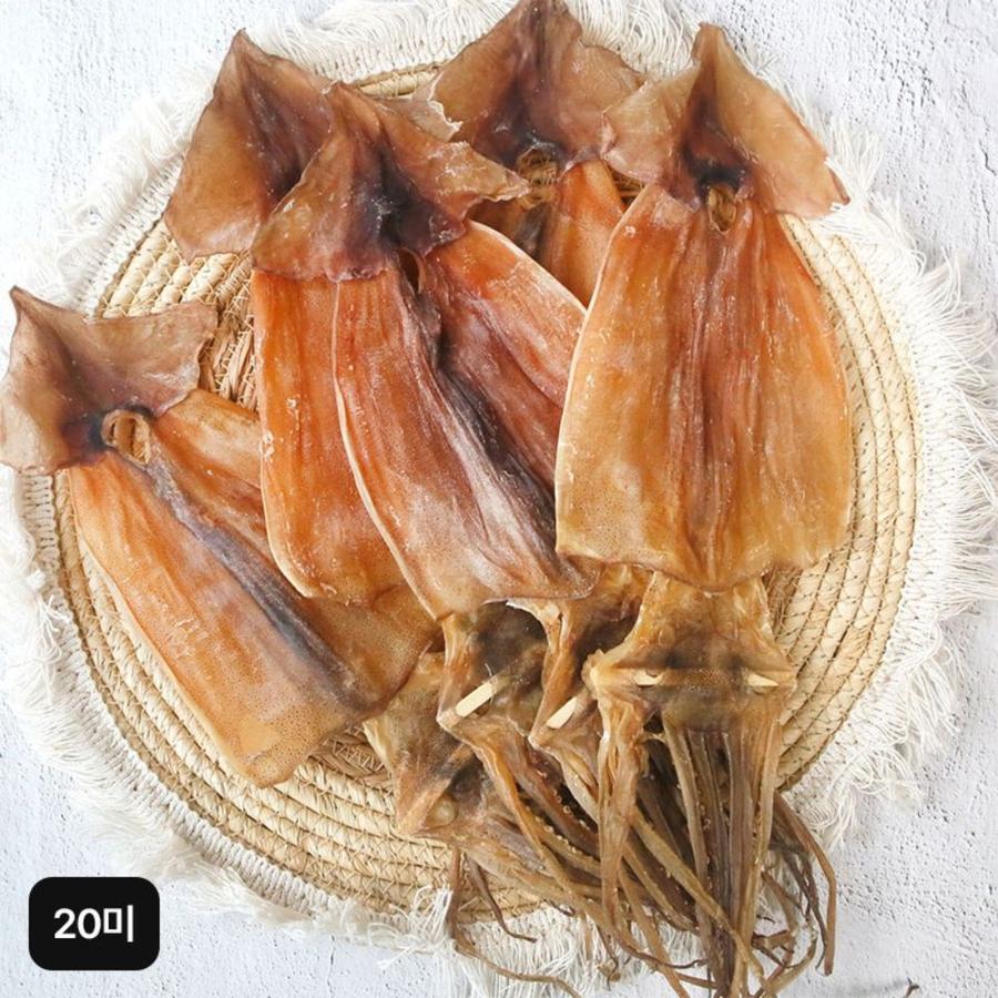 마른 오징어 20미 1kg