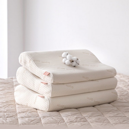 리얼 오가닉 베개