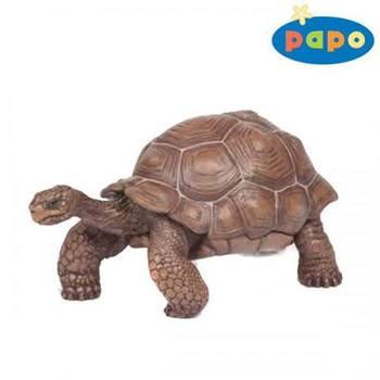 ���� �����İ��� �ź��� (50161)