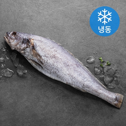 올레바당 제주 통민어 400g (1개)_이미지