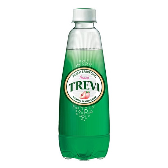 롯데칠성음료 트레비 복숭아 300ml (40개)