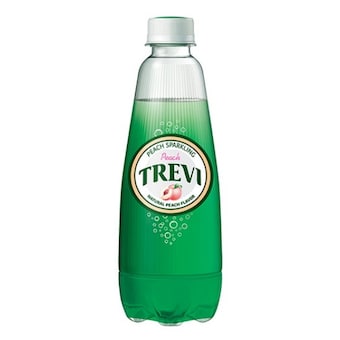 롯데칠성음료 <b>트레비</b> 복숭아 300ml