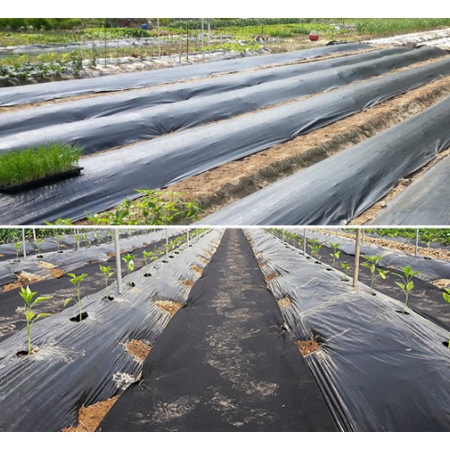 세원비닐 텃밭용 제초매트 (120cm x 10m)_이미지