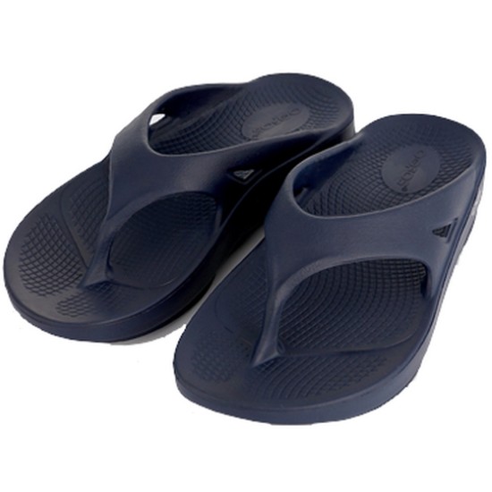 ������ ��������