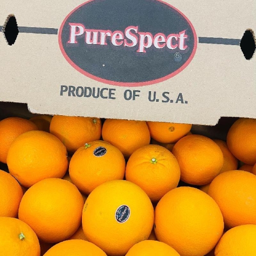 블랙라벨 오렌지 맛있는 고당도 최상급 로얄과 네이블 미국산 중소과 / 5과 10과 20과 30과 40과 50과 88과