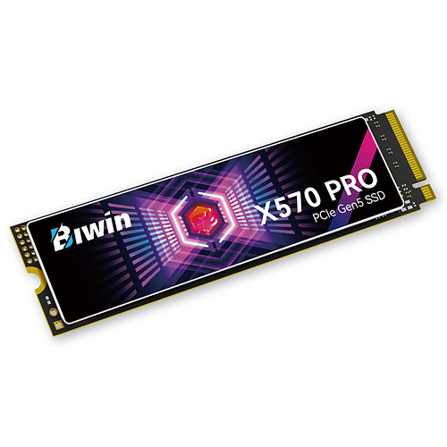 BIWIN Black Opal X570 PRO M.2 NVMe (1TB)_이미지