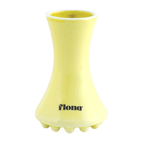 �ѱ��ݸ� �÷γ� ����� ���� FNGSY23