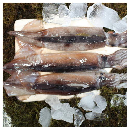 ���������� ���ڿ�¡�� 10��(����)